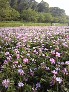 e0114015_16124168.jpg