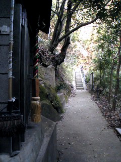 a0108217_1134058.jpg