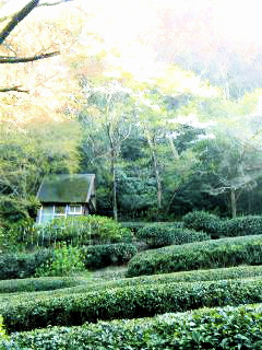 a0108217_1243051.jpg