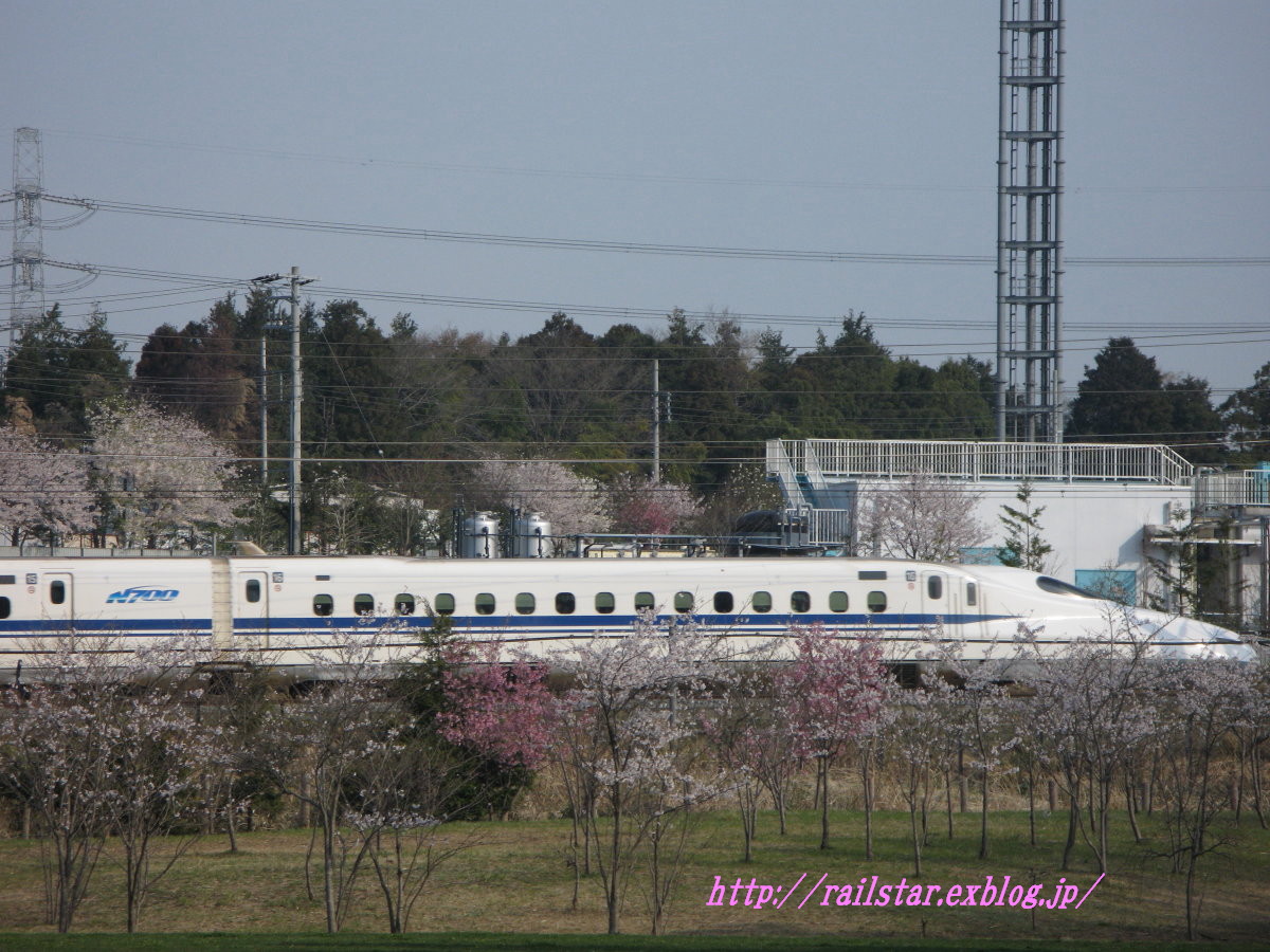 女坂スポーツ広場の桜_e0157717_0465566.jpg