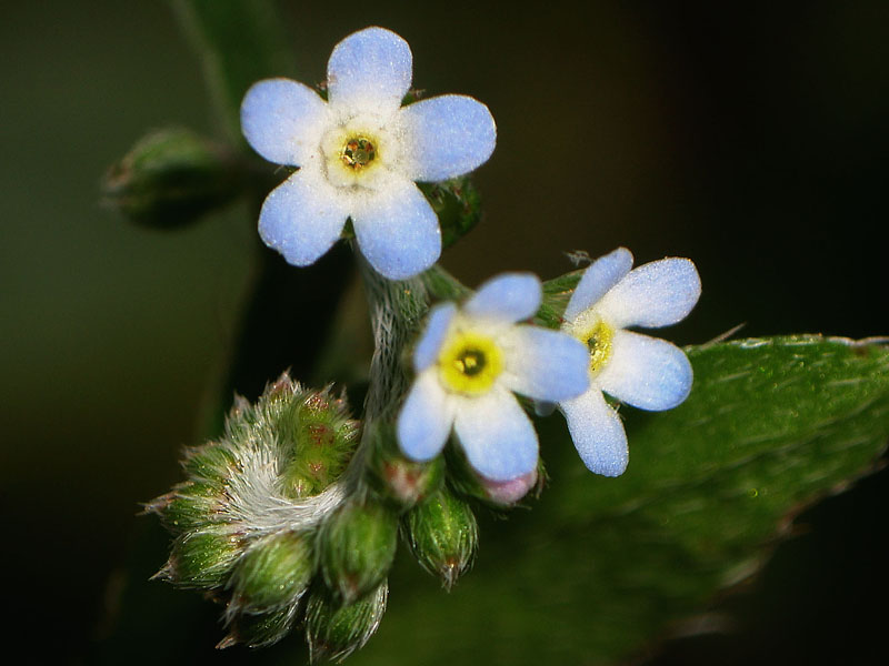 d0089024_1720100.jpg