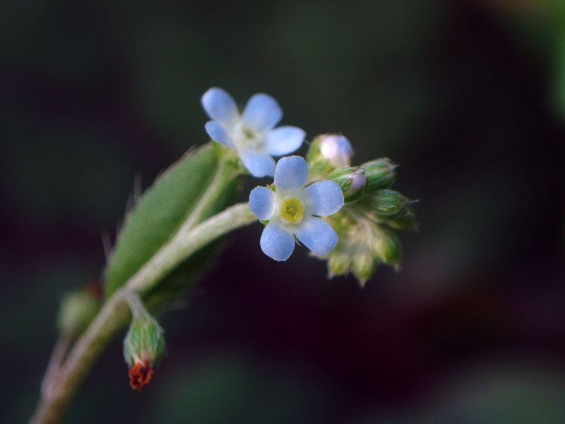 d0089024_174504.jpg