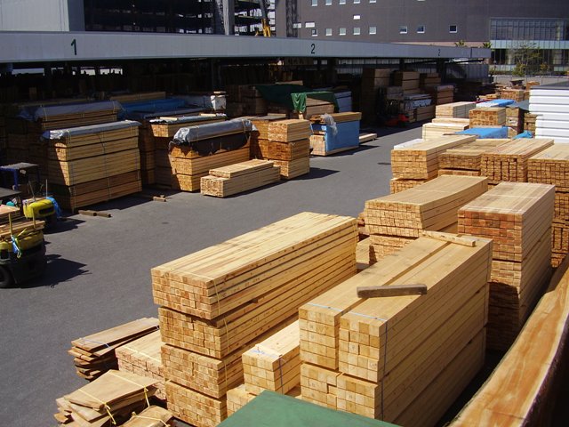 a0097426_1572126.jpg