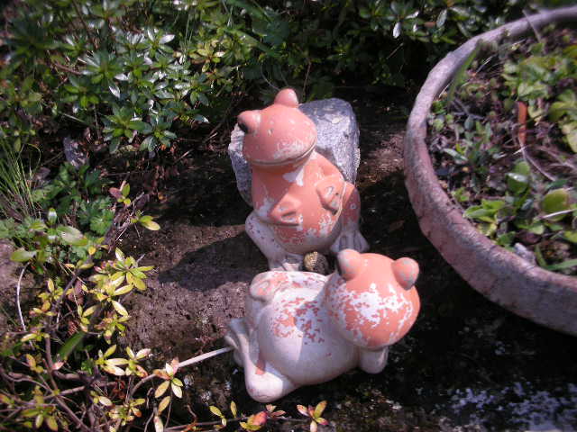 アンのような暮らしを・・_c0155326_20114367.jpg