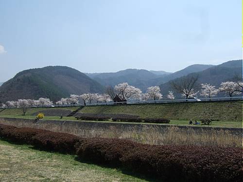 f0135026_17525755.jpg