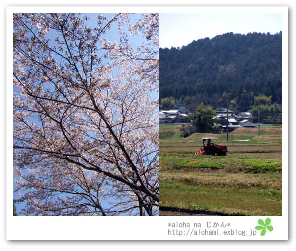 一庫ダム＆黒川ファーム＆能勢道の駅*＆レシピ_c0143528_23153220.jpg