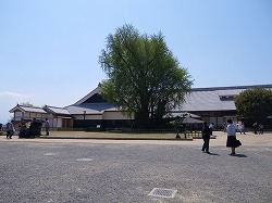 熊本城見学_d0086228_15471654.jpg