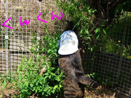 暑い4月_a0099131_15363390.jpg