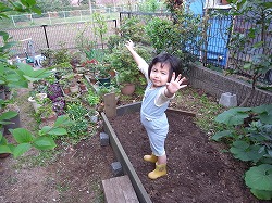 c0178231_11335480.jpg