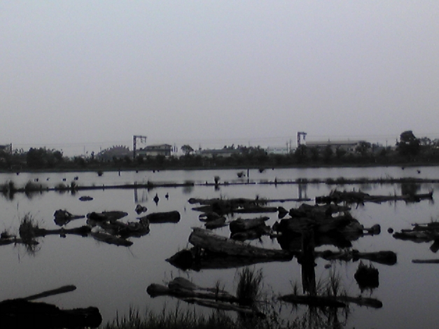 d0101131_2101391.jpg