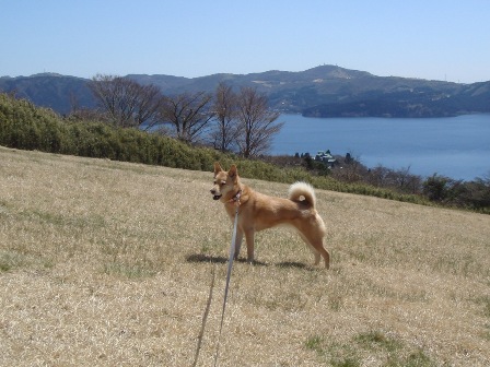 箱根ピクニックガーデン（神奈川県）_c0076933_13232373.jpg