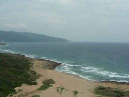 e0004334_2325025.jpg