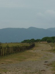 e0004334_23251938.jpg