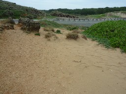e0004334_2327331.jpg