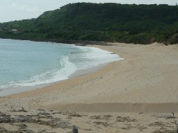 e0004334_23322234.jpg