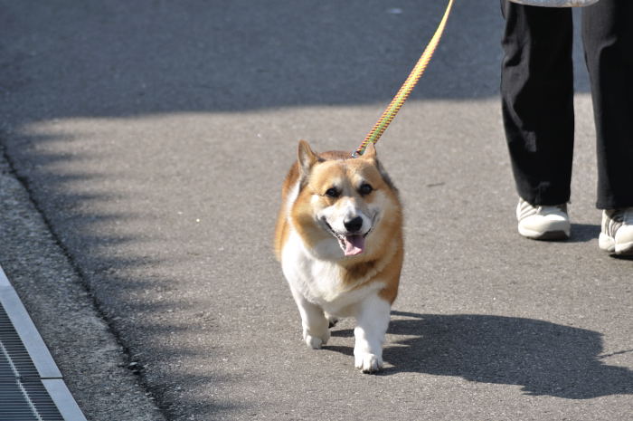 　むーちゃんの日曜日_c0150545_12525869.jpg