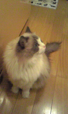 a0023647_2314427.jpg
