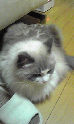 a0023647_23172763.jpg