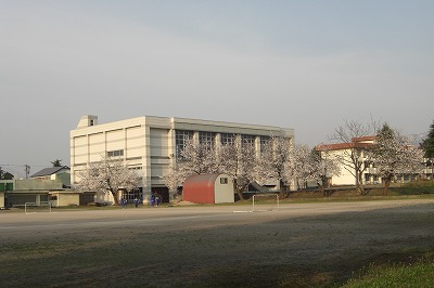 浦佐の桜_a0084753_17384645.jpg