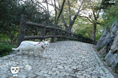 お城公園のお散歩 〜ちょっと遠回り〜_e0031853_1624990.jpg