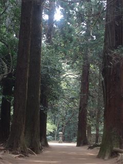 太平洋だ～！_d0082655_14391827.jpg