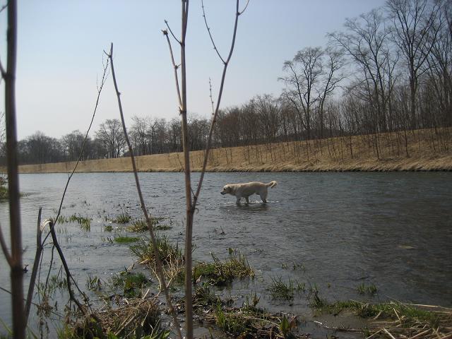 c0117058_2101165.jpg