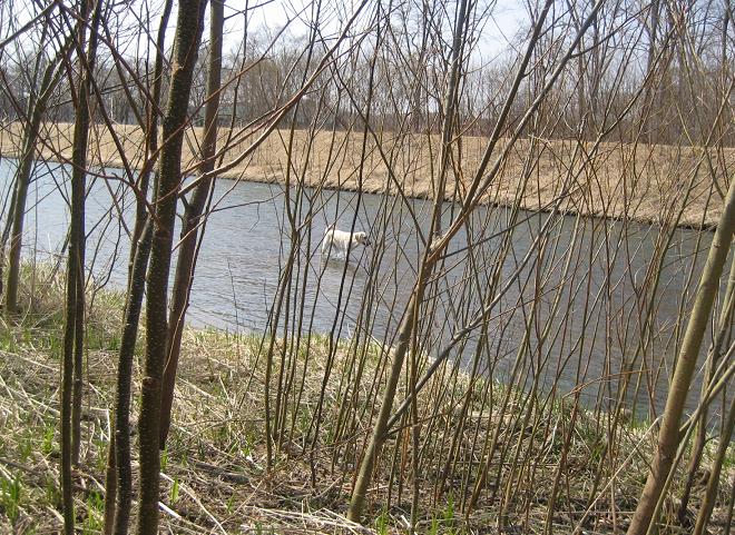 c0117058_21105499.jpg