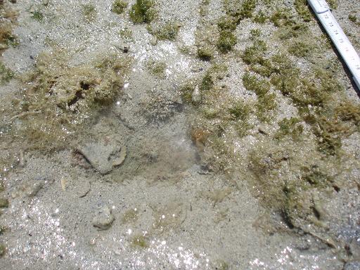 c0180460_03132.jpg