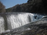 c0188961_1443622.jpg