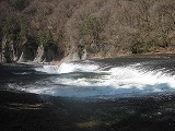 c0188961_1445164.jpg