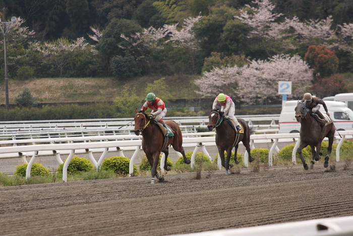 2009年4月5日（日） 高知競馬 6R E3_a0077663_17552623.jpg