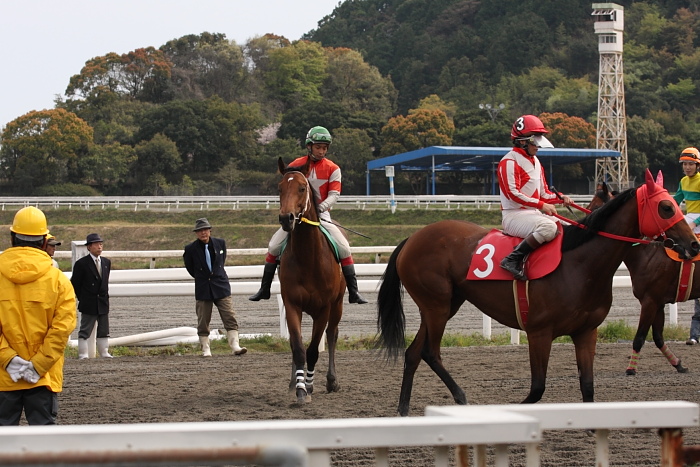 2009年4月5日（日） 高知競馬 6R E3_a0077663_1755988.jpg