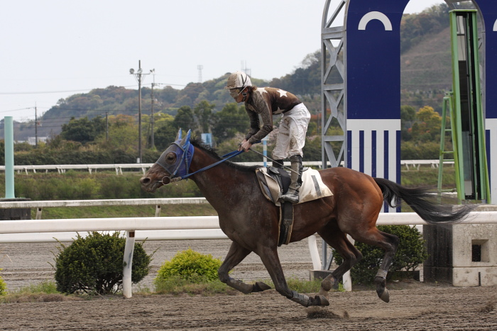 2009年4月5日（日） 高知競馬 6R E3_a0077663_17561441.jpg