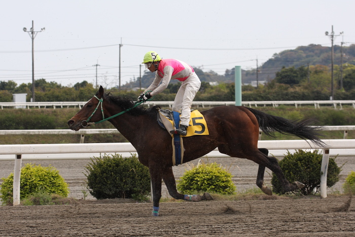 2009年4月5日（日） 高知競馬 6R E3_a0077663_17562256.jpg