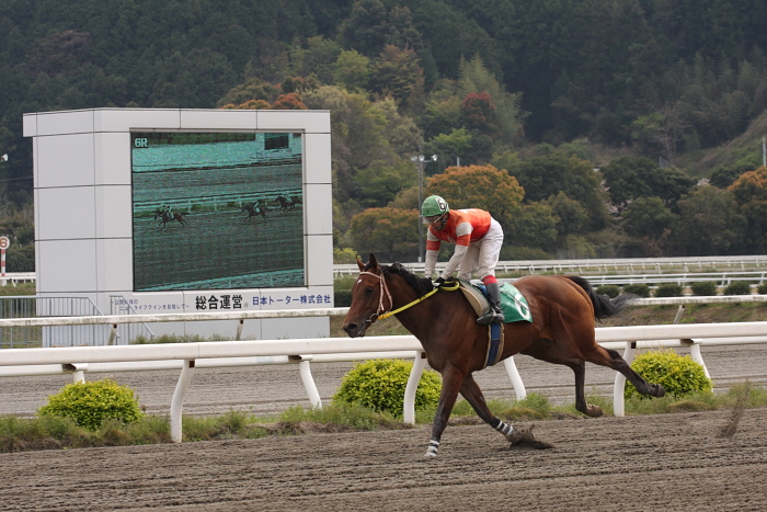 2009年4月5日（日） 高知競馬 6R E3_a0077663_1756644.jpg