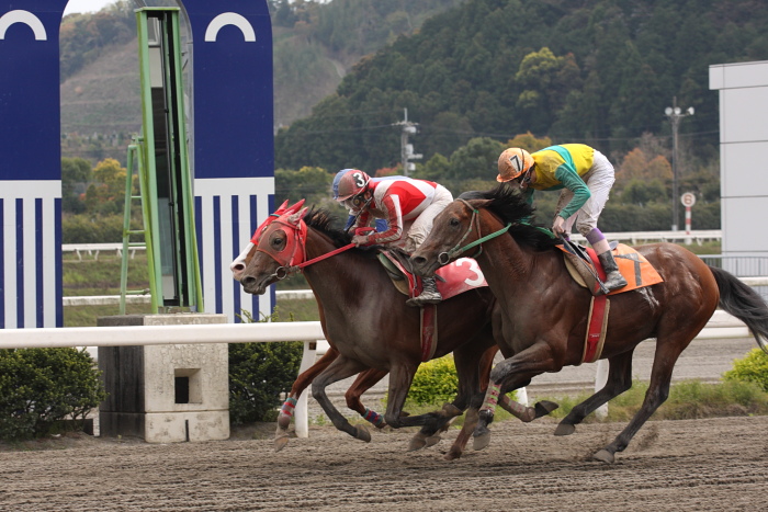 2009年4月5日（日） 高知競馬 6R E3_a0077663_17591142.jpg