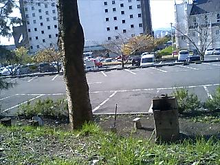 b0147363_105285.jpg