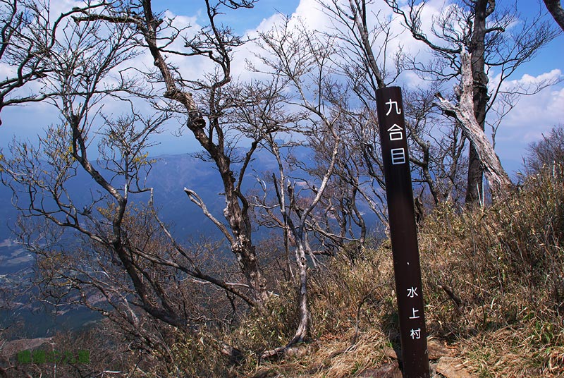 f0173067_1635269.jpg