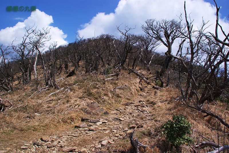 f0173067_1638267.jpg