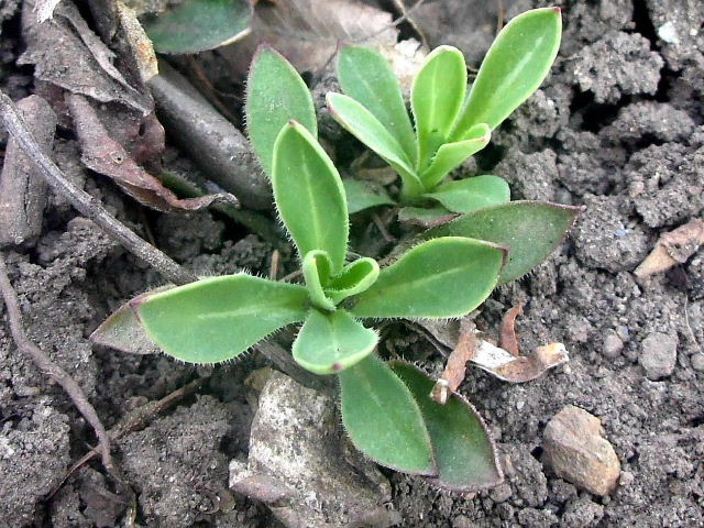 b0067569_0105851.jpg