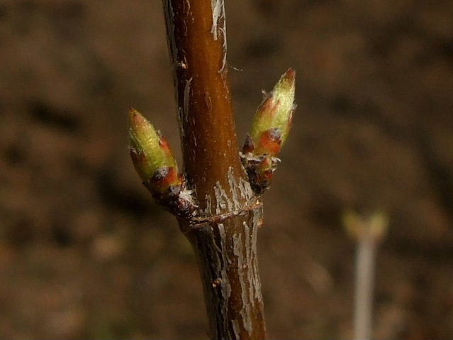 b0067569_0154235.jpg