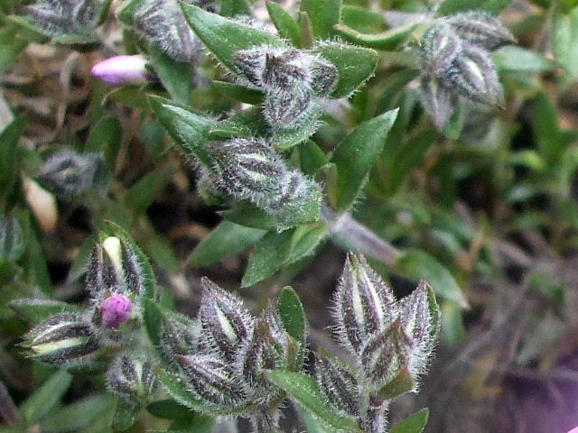 b0067569_0183913.jpg