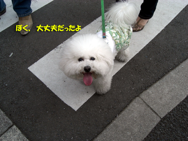 b0060071_04279.jpg