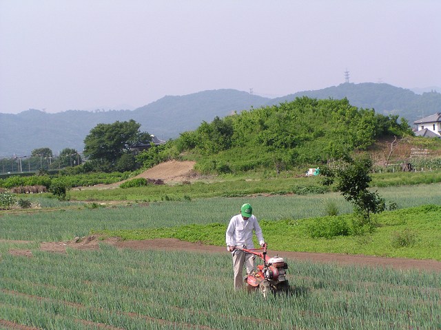 鶴山古墳 (太田市鳥山上町）_b0004675_8101582.jpg