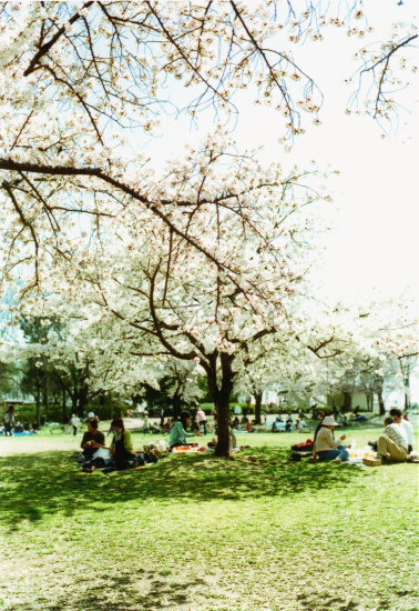 b0115579_7462342.jpg
