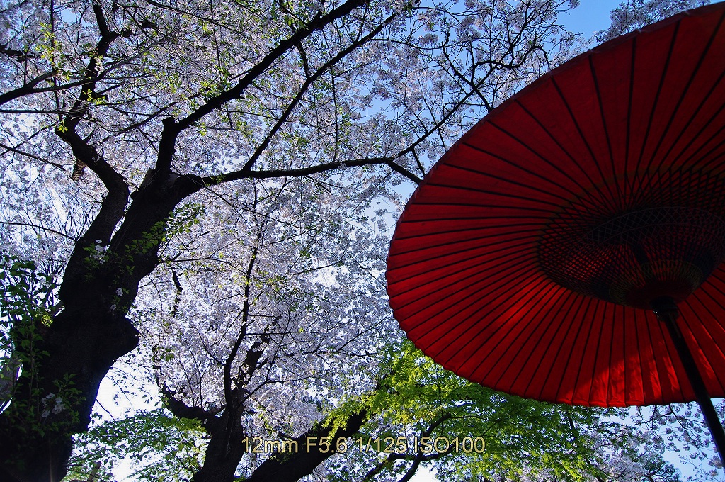 白金台、八芳園　2回目_b0164779_0575146.jpg