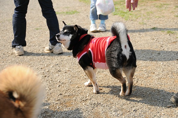 とぶき　200903 36_c0109780_18322041.jpg