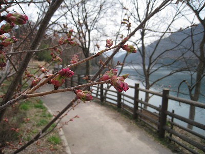 a0038882_16245721.jpg
