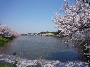 c0178183_6471685.jpg