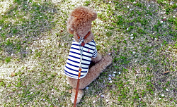 c0130389_15137.jpg